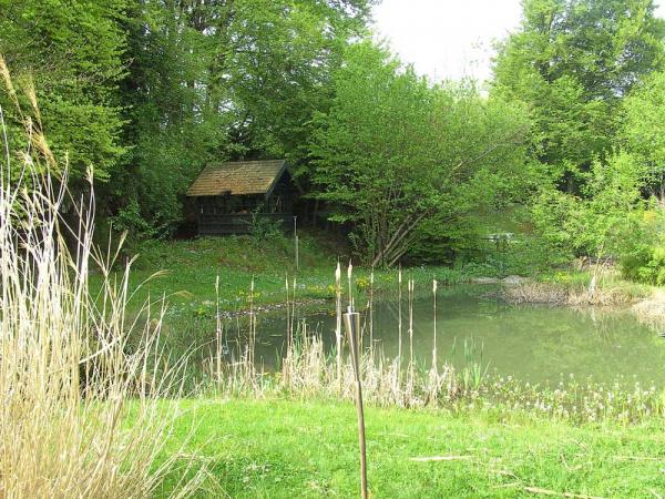 Teichbau